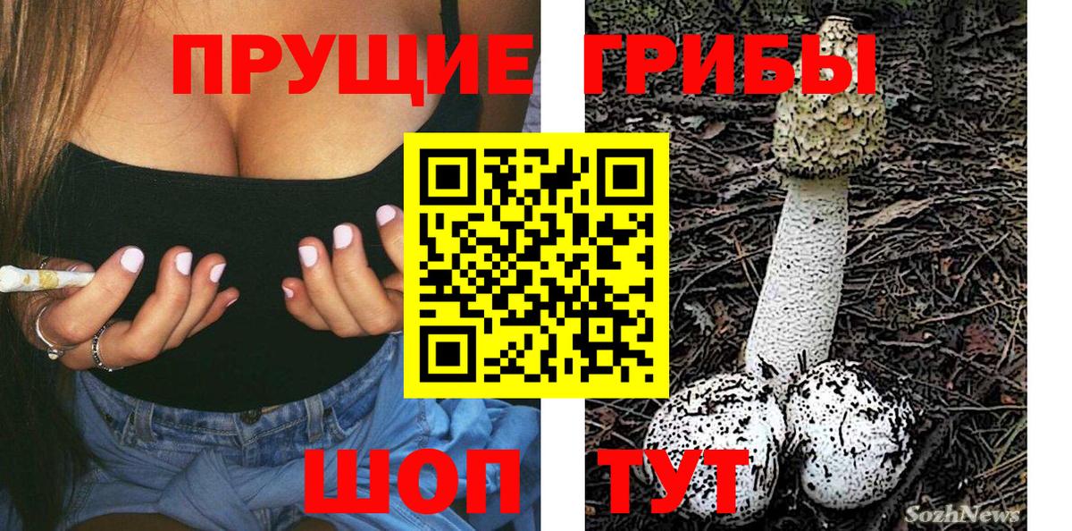 Светлоград  Галлюциногенные грибы GOLDEN TEACHER  где купить   Вход с VPN  Галлюциногенные грибы GOLDEN TEACHER 